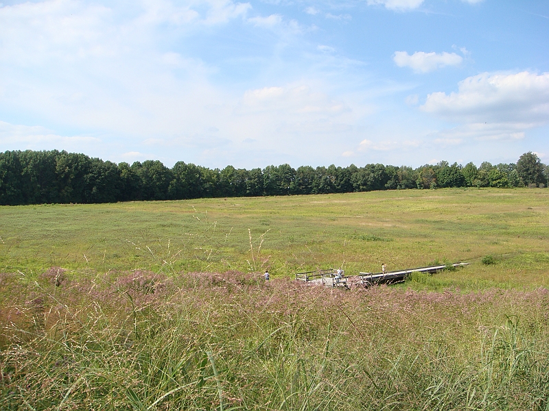 077 Longwood Gardens [2008 August 23].JPG - Longwood Gardens in Pennsylvania
